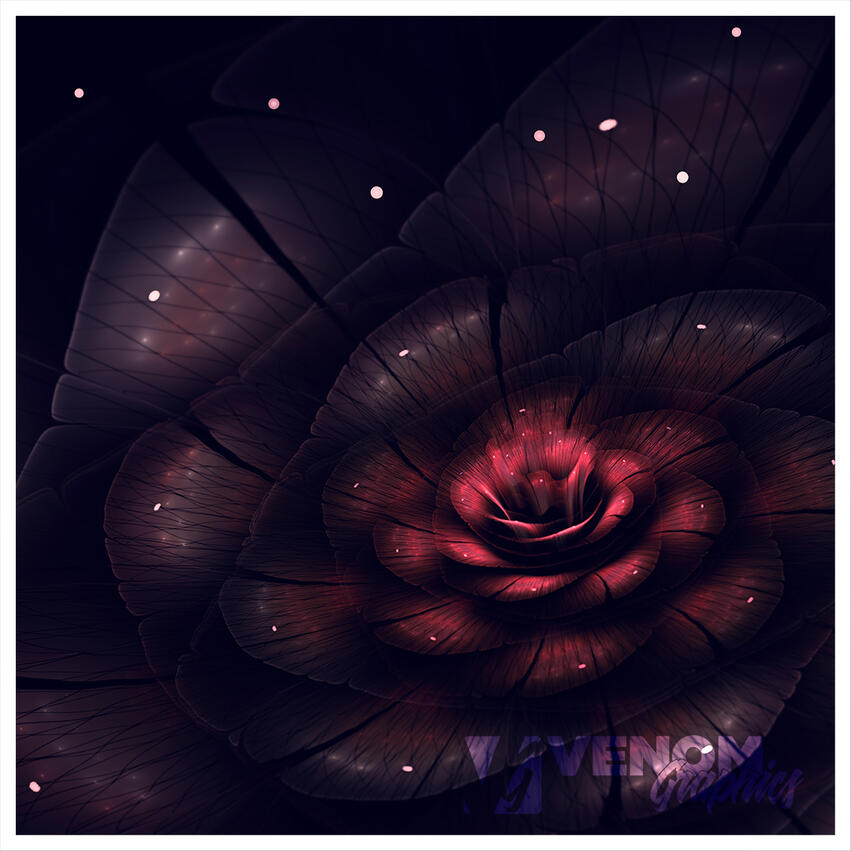 Red Queen, Apophysis 7X + Fractorium; September 14, 2020